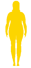 Silhouette — overweight
